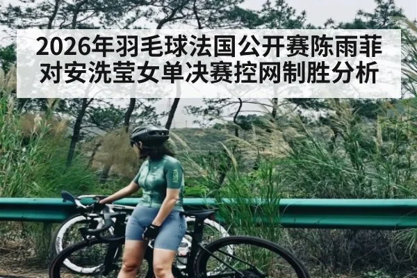 2026年羽毛球法国公开赛陈雨菲对安洗莹女单决赛控网制胜分析